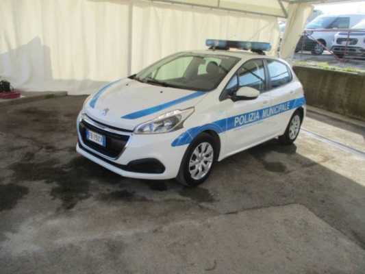 Peugeot 208 5 porte CONSIP 10 Active 14 HDi 68cv FAP