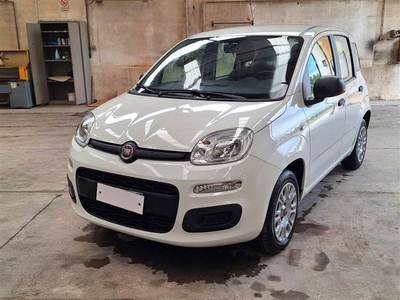 FIAT PANDA / 2011 / 5P / BERLINA 1.2 69CV E6D-TEMP EASY