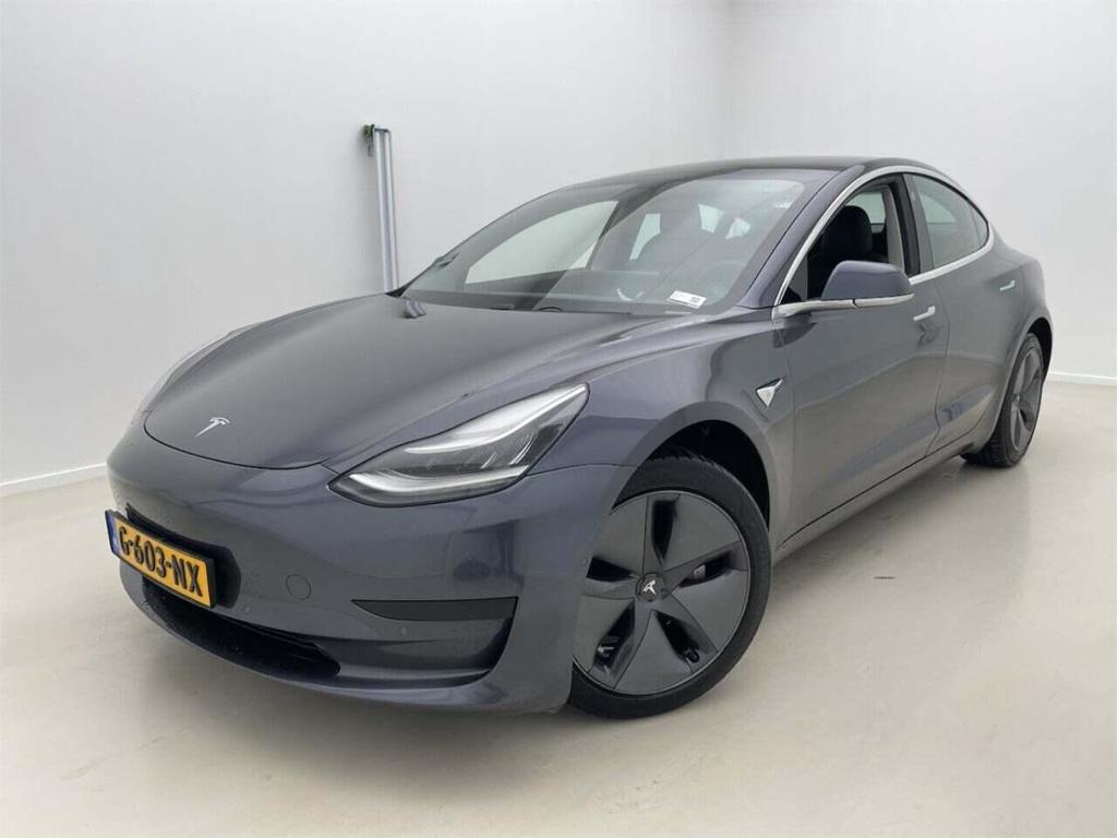 Tesla Model 3 Stnd.RWD Plus 60 kWh