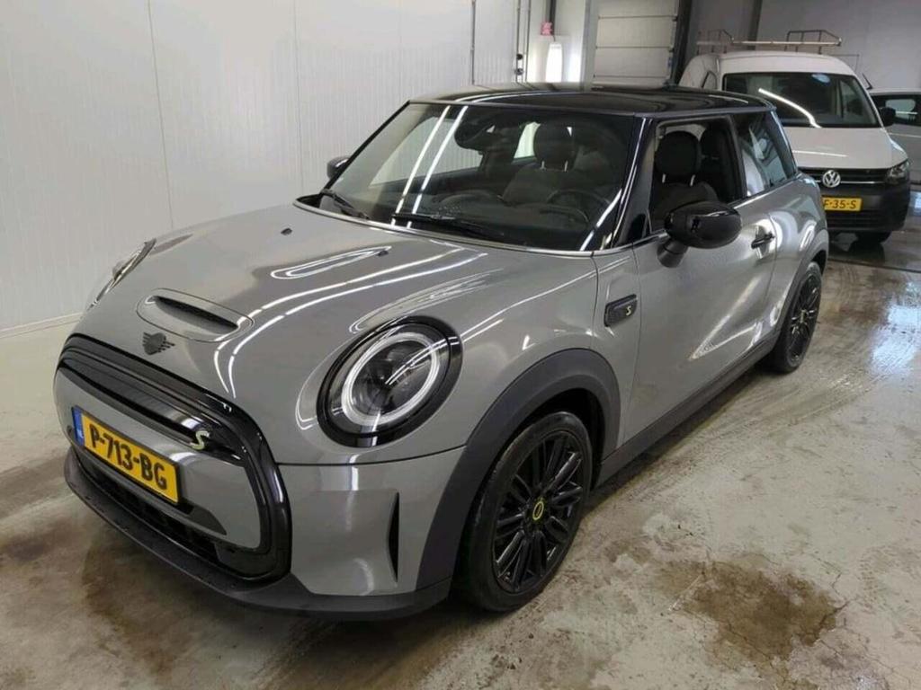 Mini Mini Electric Business Edition