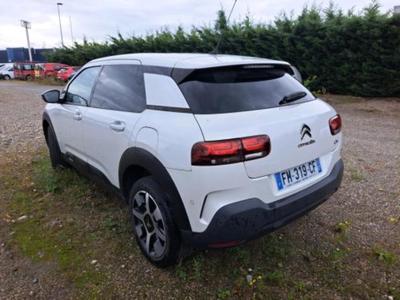 CITROEN C4 CACTUS Cactus Shine Business 1.5 BlueHDI 12..