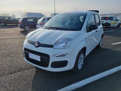 FIAT PANDA / 2011 / 5P / BERLINA 1.2 69CV E6D-TEMP EASY
