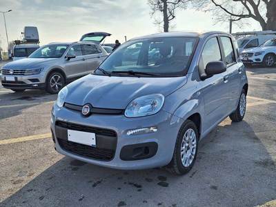 FIAT PANDA / 2011 / 5P / BERLINA 1.2 69CV E6D-TEMP EASY