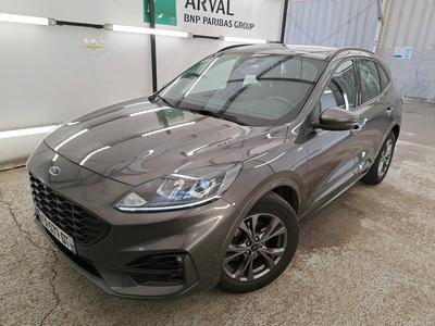 FORD Kuga / 2019 / 5P / SUV 2.0 EcoBlue 150 ch mHEV St-Line Business