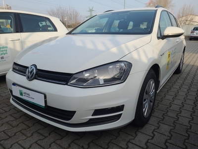 Volkswagen Golf VII Variant (BV5)(2017->) Golf V.1.4TGI Trendline