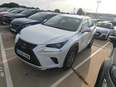 LEXUS NX / 2017 / 5P / todoterreno 2.5 300h Business Navigation 2WD MY2019(CXR)