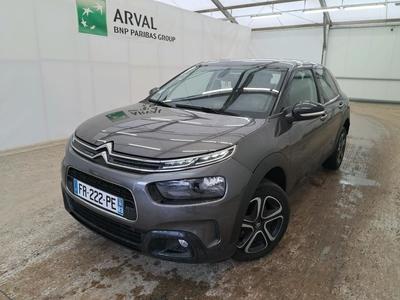 C4 Cactus Feel Business 1.5 BlueHDi 100CV BVM6 E6d
