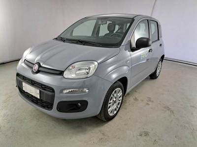 FIAT PANDA / 2011 / 5P / BERLINA 1.2 69CV E6D-TEMP EASY