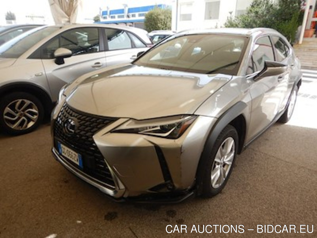 Lexus UX Hybrid Business 2wd