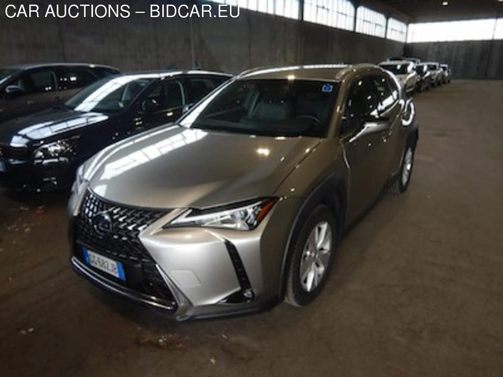 Lexus UX Hybrid Business 2wd