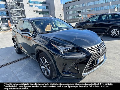 Lexus NX hybrid luxury 4wd sport -