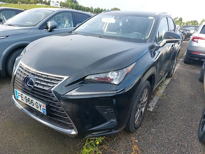 Lexus NX NX 300h 4WD Luxe Euro6d-T