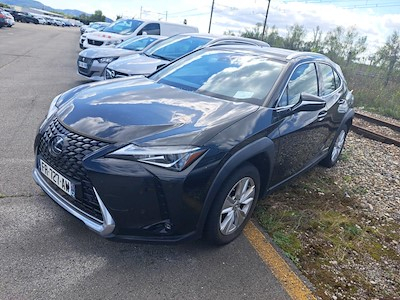 Lexus UX UX 250h 2WD Pack Business MY20