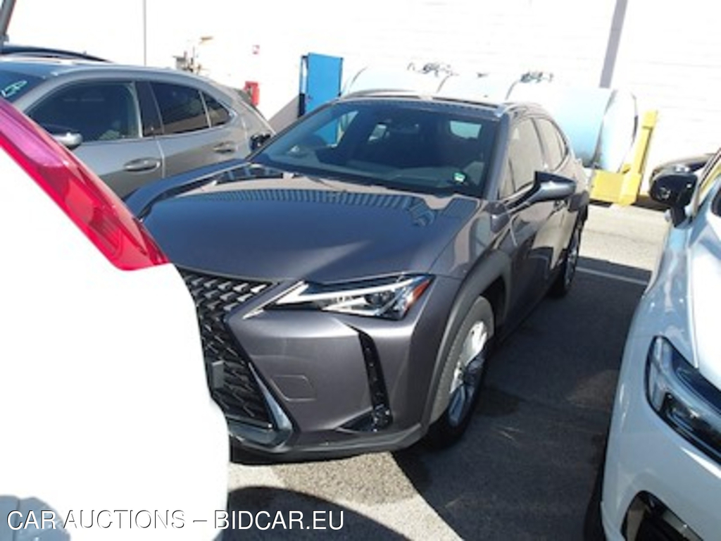 Lexus UX Hybrid Business 2wd