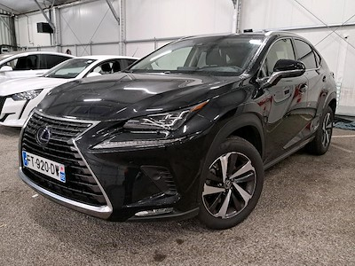 Lexus NX NX 300h 2WD Executive MM19