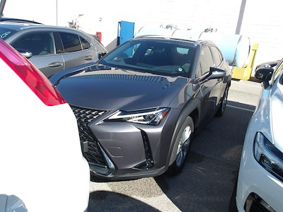 Lexus UX Hybrid Business 2wd