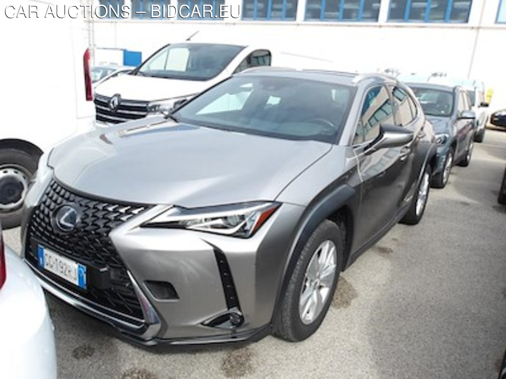 Lexus UX Hybrid Business 2wd