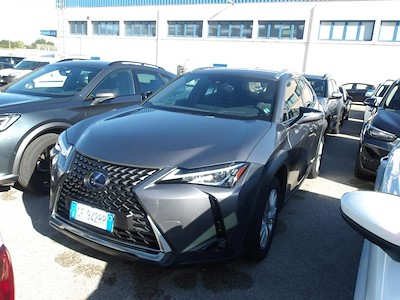 Lexus UX Hybrid Business 2wd