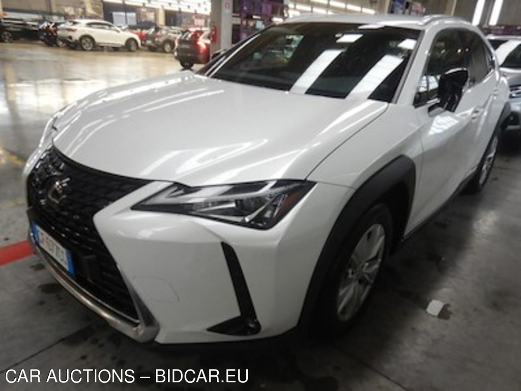 Lexus UX Hybrid Business 2wd