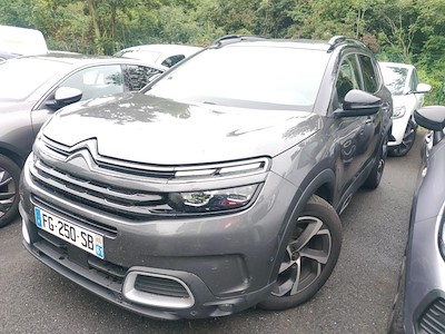 Citroen C5 aircross C5 Aircross BlueHDi 130ch S&amp;S Business + EAT8