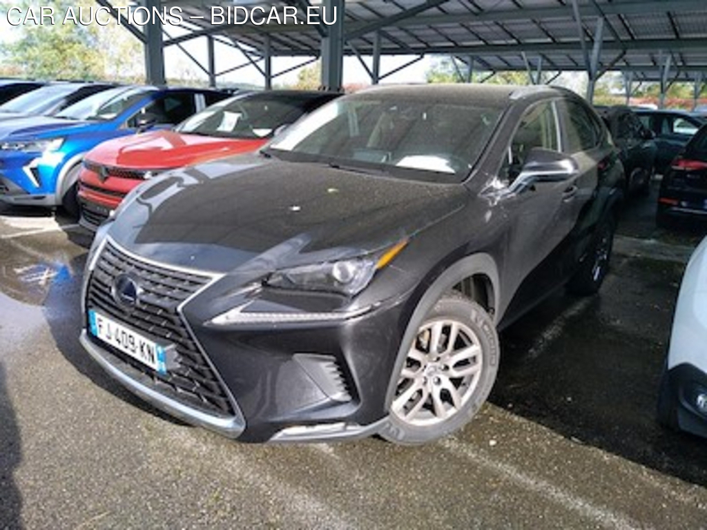 Lexus NX NX 300h 4WD Pack Business MM19