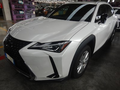 Lexus UX Hybrid Business 2wd