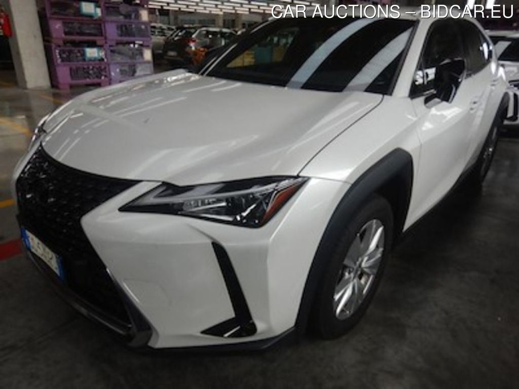 Lexus UX Hybrid Business 2wd