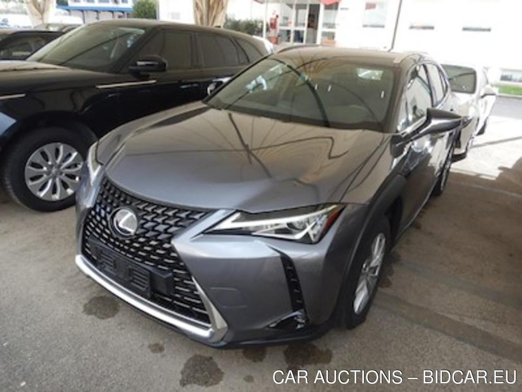 Lexus UX Hybrid Business 2wd