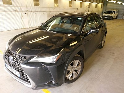 Lexus UX UX 250h 2WD Pack MY20