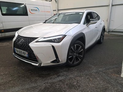 Lexus UX UX 250h 4WD Executive MY19