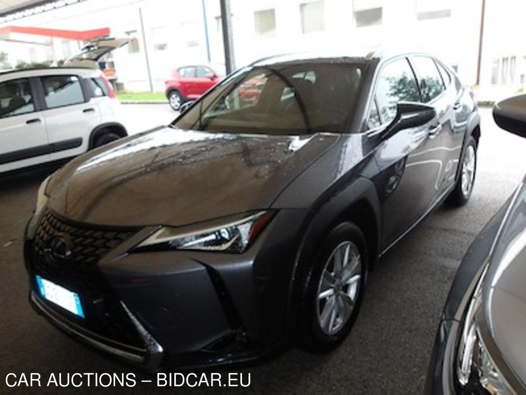 Lexus UX Hybrid Business 2wd