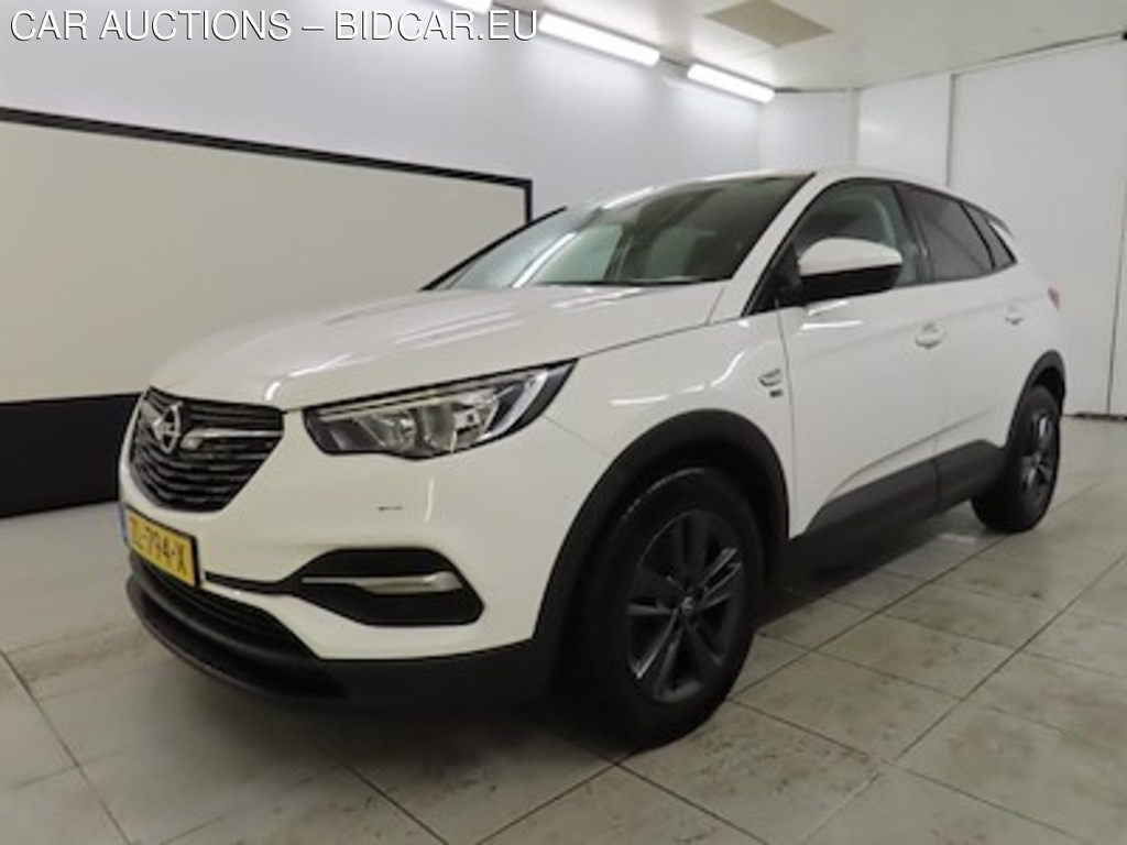 Opel Grandland X 1.2 Turbo S;S 96kW ActieAuto 5d 120 Jaar Edition A