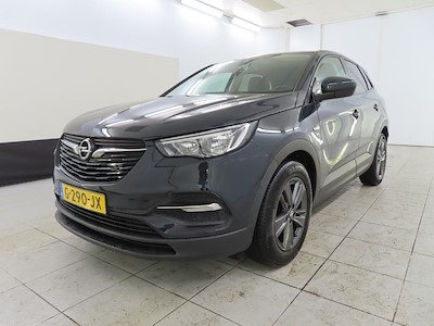 Opel Grandland X 1.2 Turbo S;S 96kW ActieAuto Auto 5d 120 Jaar Edit