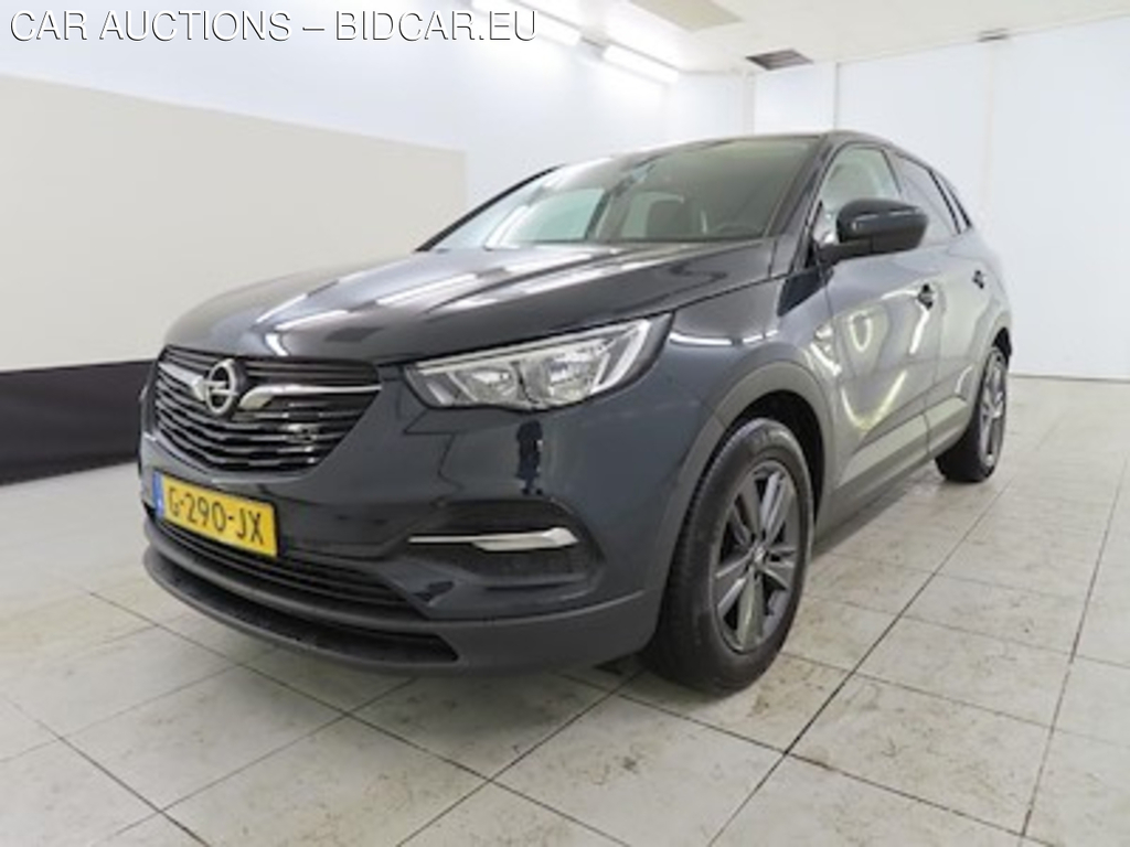 Opel Grandland X 1.2 Turbo S;S 96kW ActieAuto Auto 5d 120 Jaar Edit