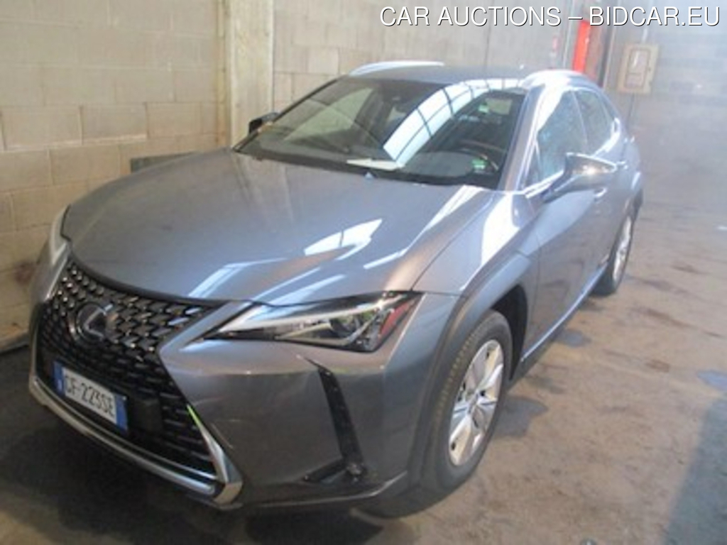 Lexus UX Hybrid Business 2wd