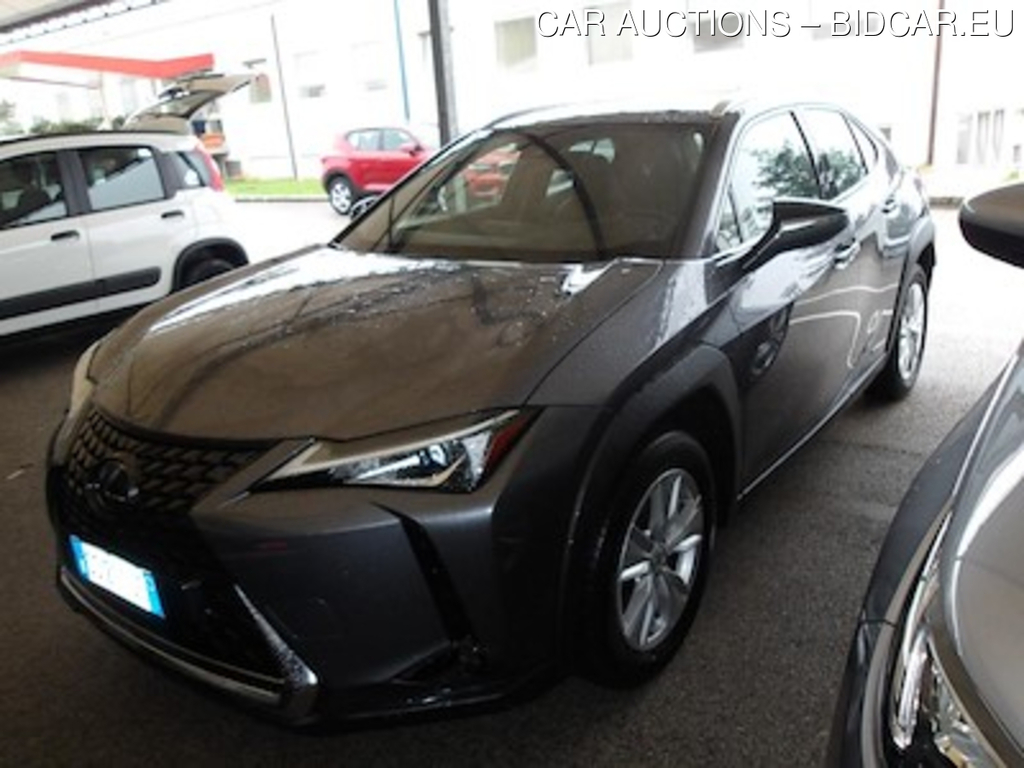 Lexus UX Hybrid Business 2wd