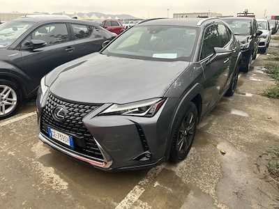 Lexus UX Hybrid Business 2wd