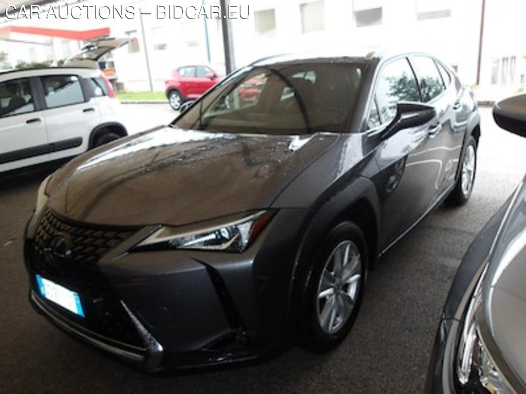 Lexus UX Hybrid Business 2wd