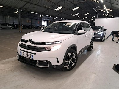 Citroen C5 aircross C5 Aircross BlueHDi 130ch S&amp;S Business EAT8 E6.d-TEMP