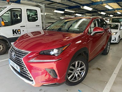 Lexus NX NX 300h 4WD Luxe MY20