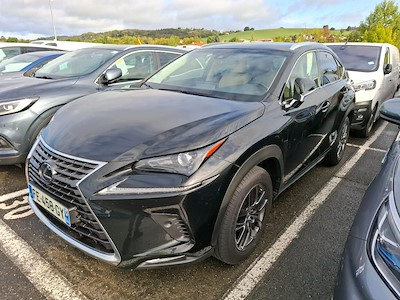 Lexus NX NX 300h 4WD Luxe Euro6d-T