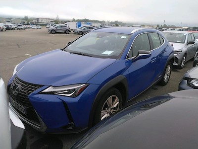 Lexus UX UX 250h 2WD Pack Business MY20