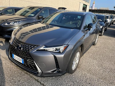 Lexus UX Hybrid Business 2wd