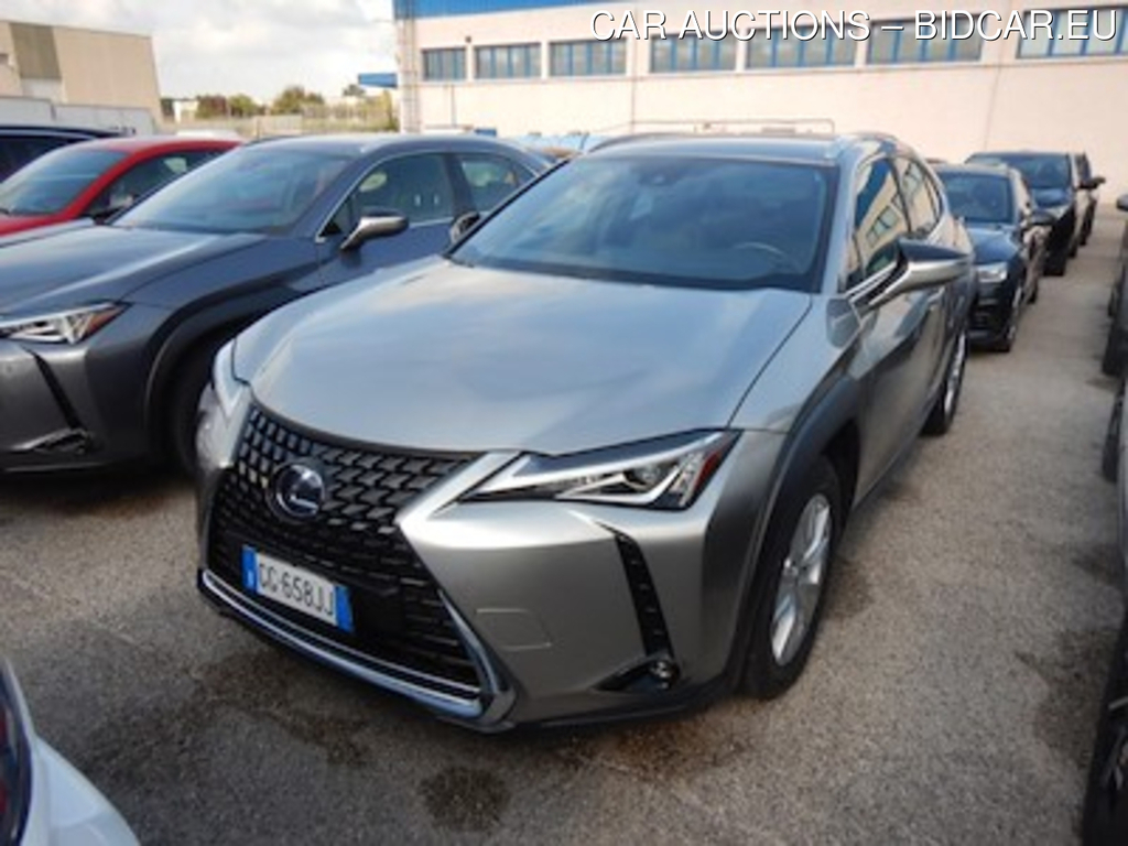 Lexus UX Hybrid Business 2wd