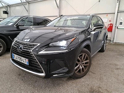 Lexus NX NX 300h 2WD Pack Business Euro6d-T