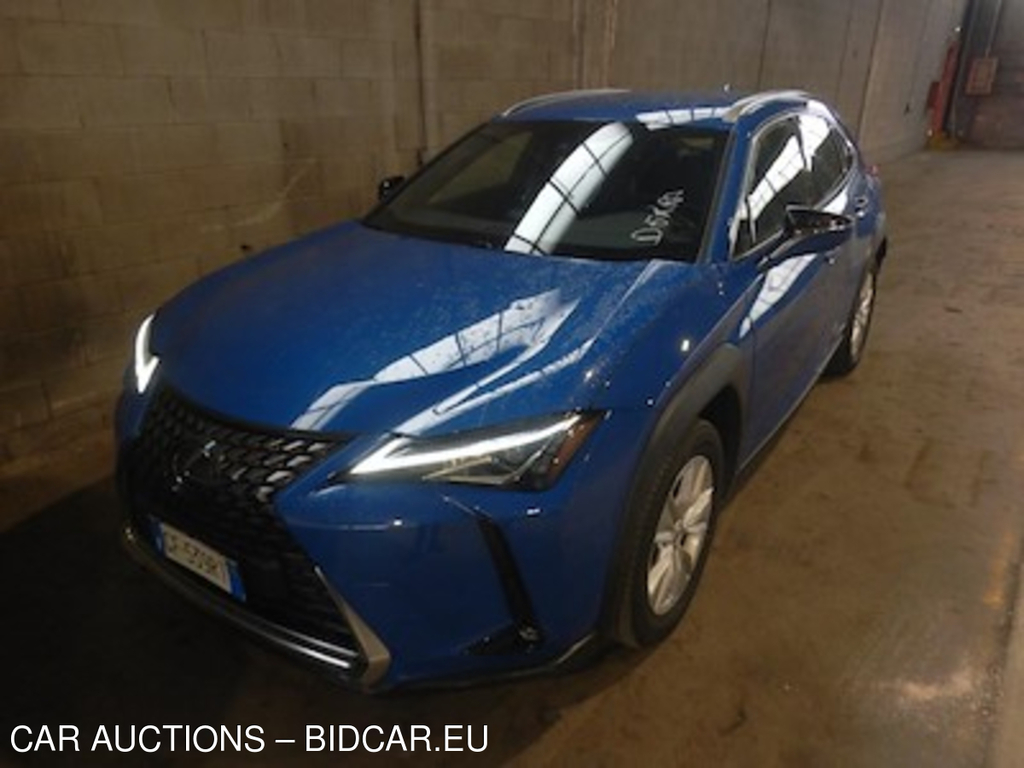 Lexus UX Hybrid Business 2wd