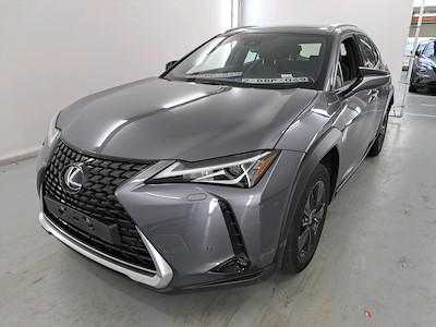 Lexus UX 2.0 250H BUSINESS LINE PLUS