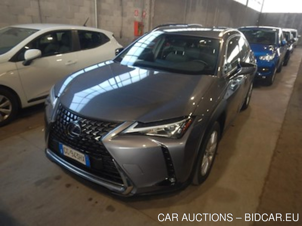 Lexus UX Hybrid Business 2wd