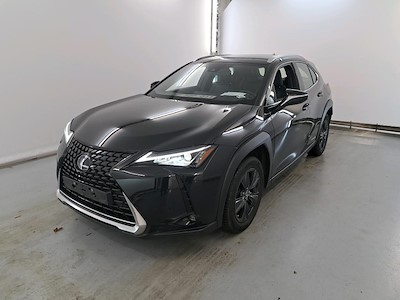 Lexus UX 2.0 250H BUSINESS LINE PLUS