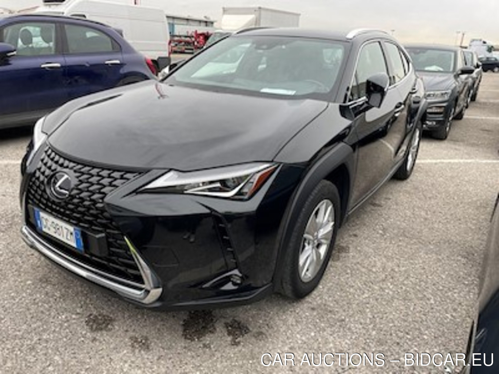 Lexus UX Hybrid Business 2wd